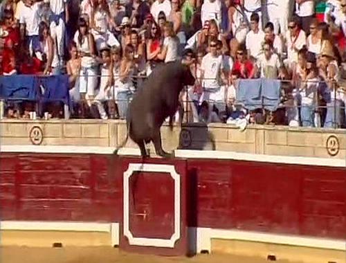 toro volador de tafalla